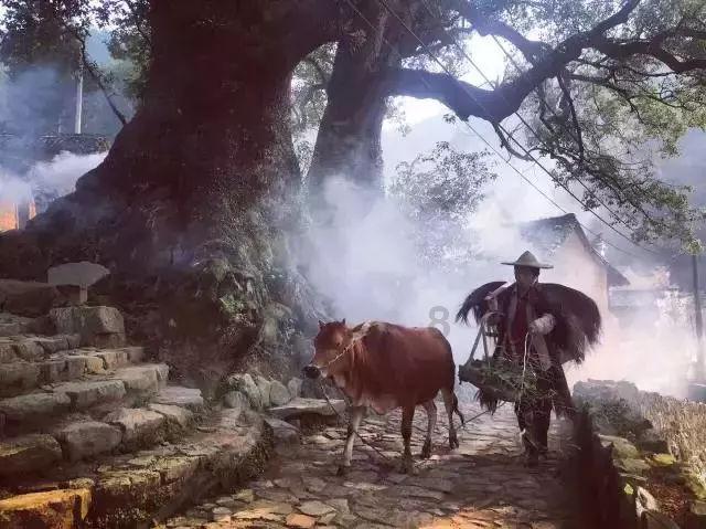 意想不到的旅程